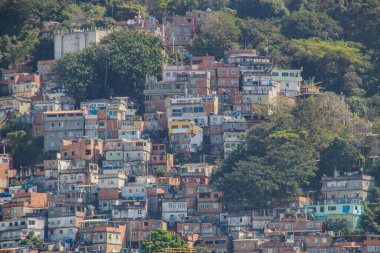 Rio de Janeiro 'daki Cantagalo Tepesi.