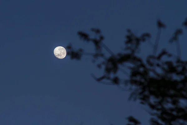 Moon Sunset Beautiful Winter Morning Rio Janeiro — ストック写真