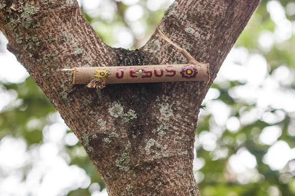 sign stuck in a tree written ( Jesus ) from Rio de Janeiro.