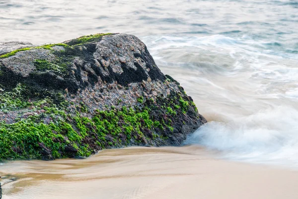 Rio de Janeiro Brezilya 'daki Red Beach Urca' da suda taş var..