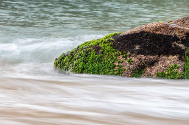 Rio de Janeiro Brezilya 'daki Red Beach Urca' da suda taş var..