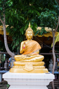 Altın buddha heykeli