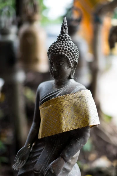 Statua buddha nera — Foto Stock