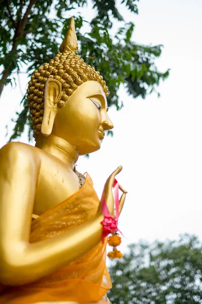 Närbild av guld buddha staty — Stockfoto