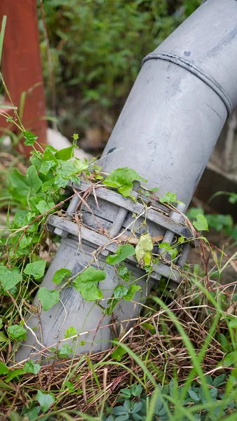 Pipeline-Deckel mit Pflanzen — Stockfoto