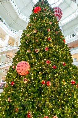 soyut Noel ağacı için arka plan ışık