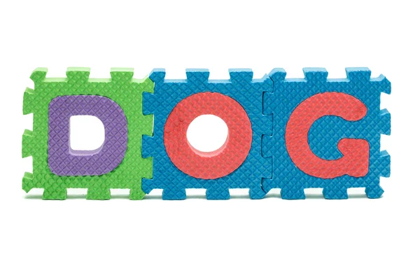 Palavra DOG formado com tapete colorido quebra-cabeça de espuma isolado no fundo branco — Fotografia de Stock