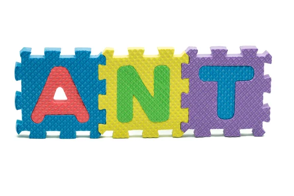 Palavra ANT formado com tapete colorido quebra-cabeça de espuma isolado no fundo branco — Fotografia de Stock