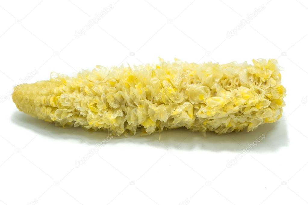 Eaten corn isolated on white background