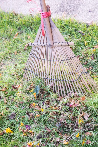 Limpieza de hierba seca y hoja en el jardín por rastrillo (grada ) —  Fotos de Stock