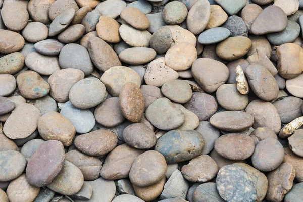 Pebble textura de pedra para o fundo — Fotografia de Stock