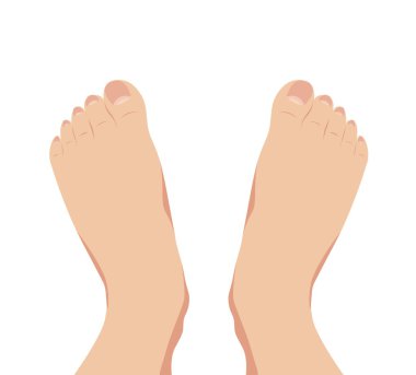 Vector of female foot standing  human foot clipart