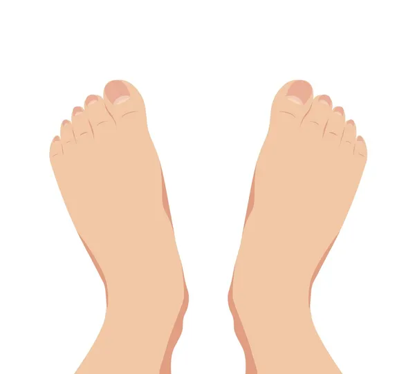 Вектор женской ноги стоя человеческой ноги — стоковый вектор