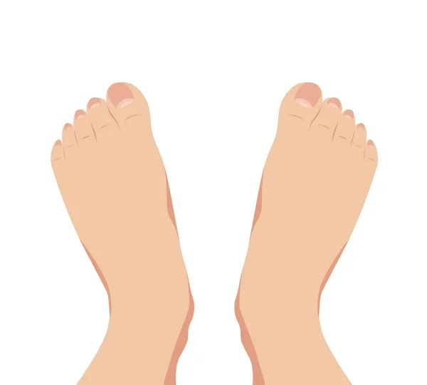 Insan ayağı ayakta ayak vektör — Stok Vektör