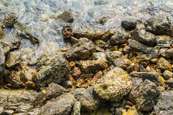 Felsen und klares Meer - Insel Lan (Koh lan) Thailand — Stockfoto