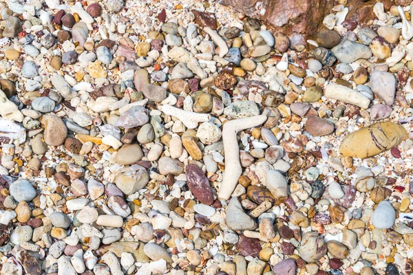 Coral e pedra para fundo — Fotografia de Stock