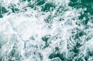 hız teknesi prop yıkama, beyaz bir uyku modundan çıkarma Ocean (dalga, splash)