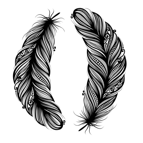 Peerless Decorative Feather — Stock Vector