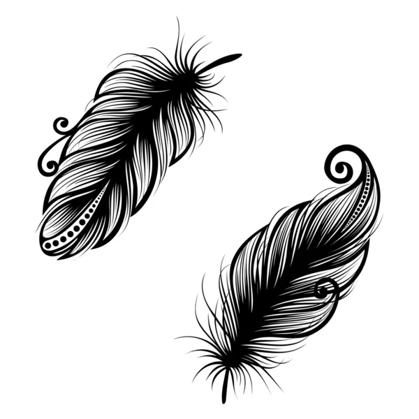 Pluma decorativa sin igual — Vector de stock