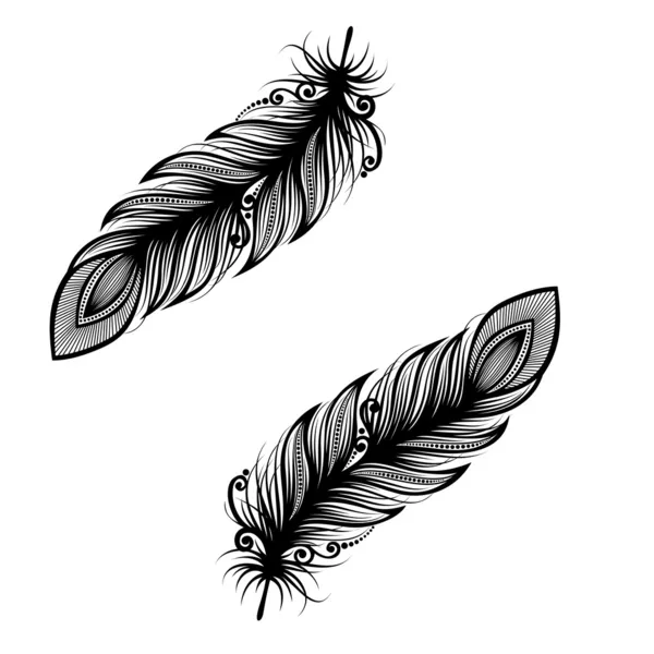 Pluma decorativa sin igual — Vector de stock