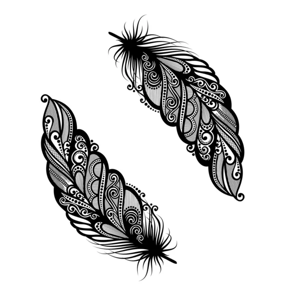 Plume décorative Peerless — Image vectorielle