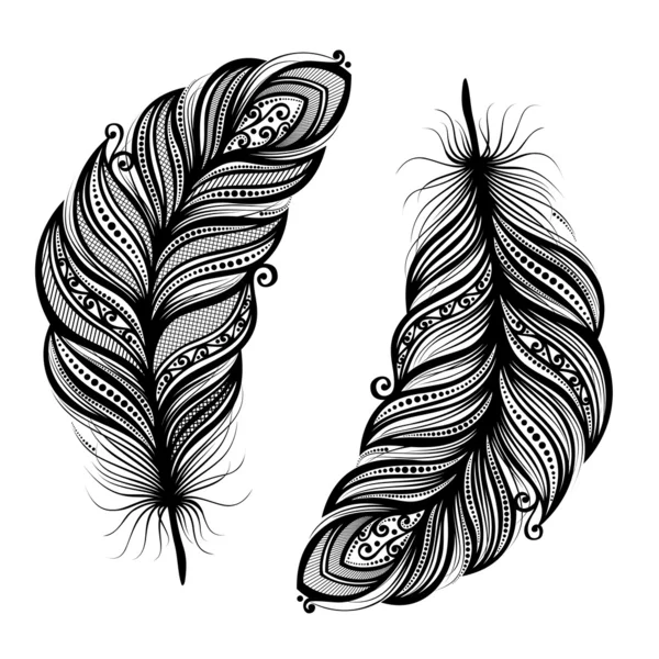 Pluma decorativa sin igual — Vector de stock