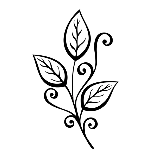 装飾的な葉飾り — ストックベクタ