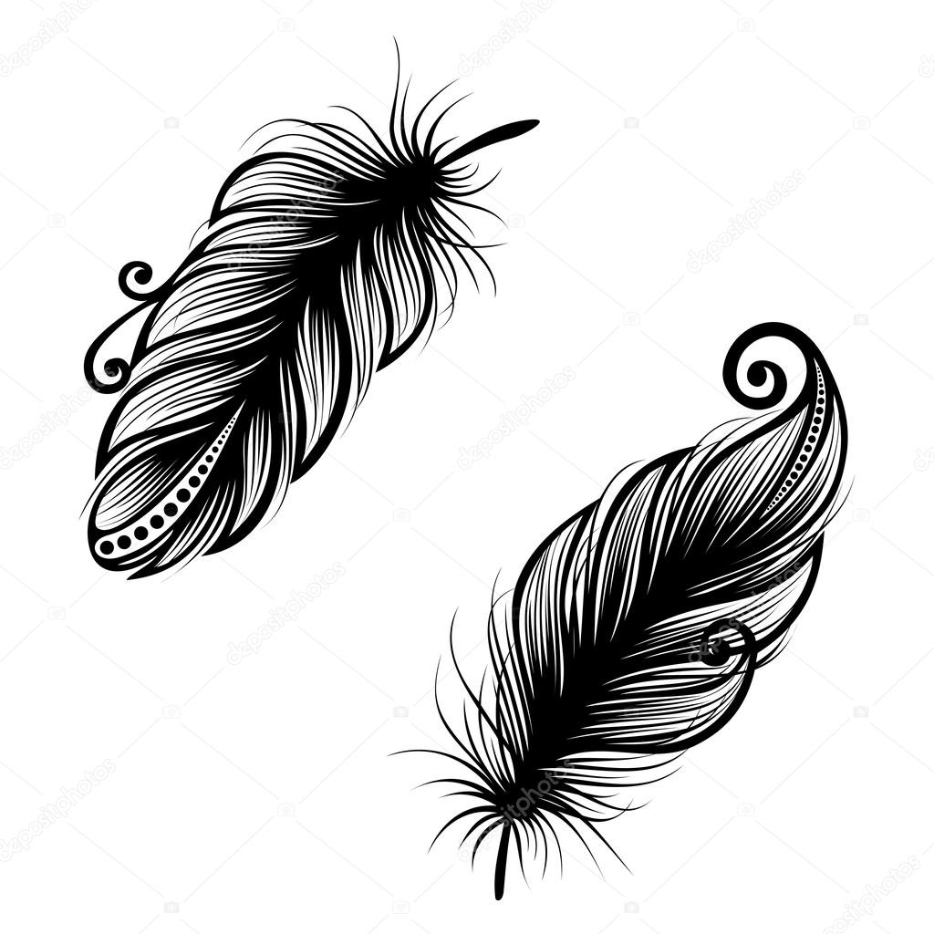 Peerless Decorative Feather