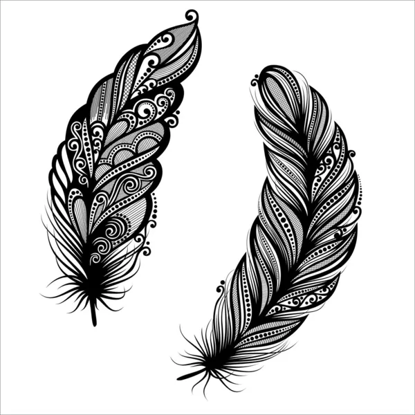 Pluma decorativa sin igual (Vector ) — Vector de stock