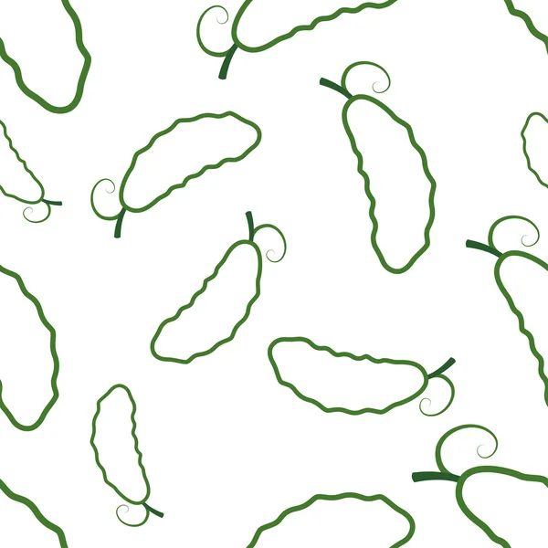 Patroon circuit komkommer — Stockvector