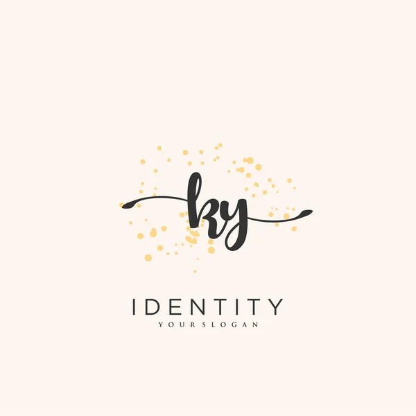 Handwriting Logo Vector Art Initial Signature Wedding Fashion Jewerly Boutique — Stockvektor