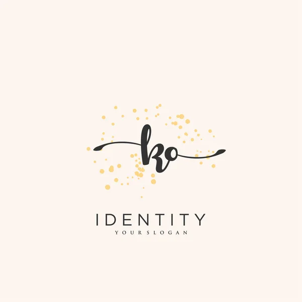 Handwriting Logotipo Arte Vetorial Assinatura Inicial Casamento Moda Jewerly Boutique — Vetor de Stock