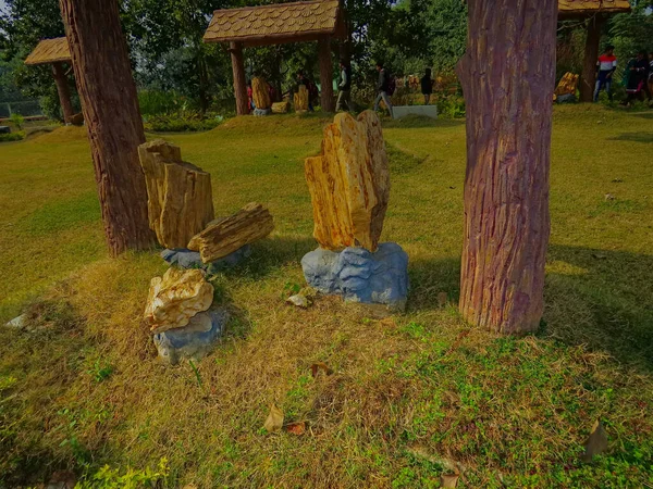 Förhistorisk Trä Fossil Från Västra Bengaliska India Bevaras — Stockfoto