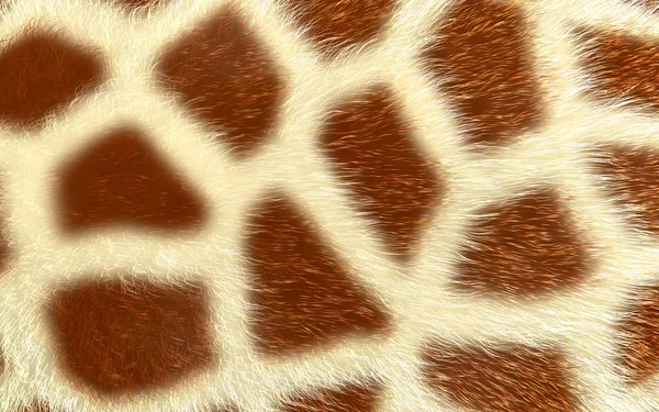 Giraffe texture — Stock Photo, Image