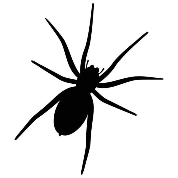 Beyaz Arka Planda Siyah Bir Örümceğin Gölgesi — Stok Vektör