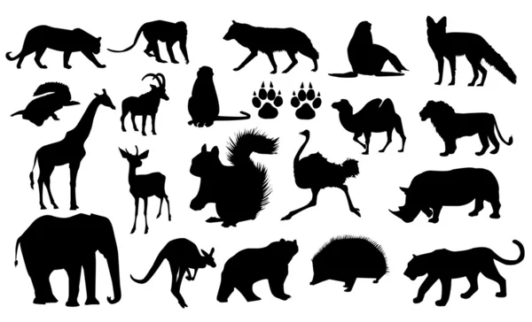 Siluetas animales salvajes — Vector de stock