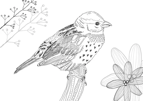 Hand drawn bird — Stock Vector