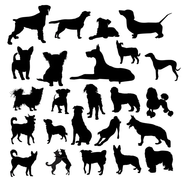 Silueta de perros — Vector de stock