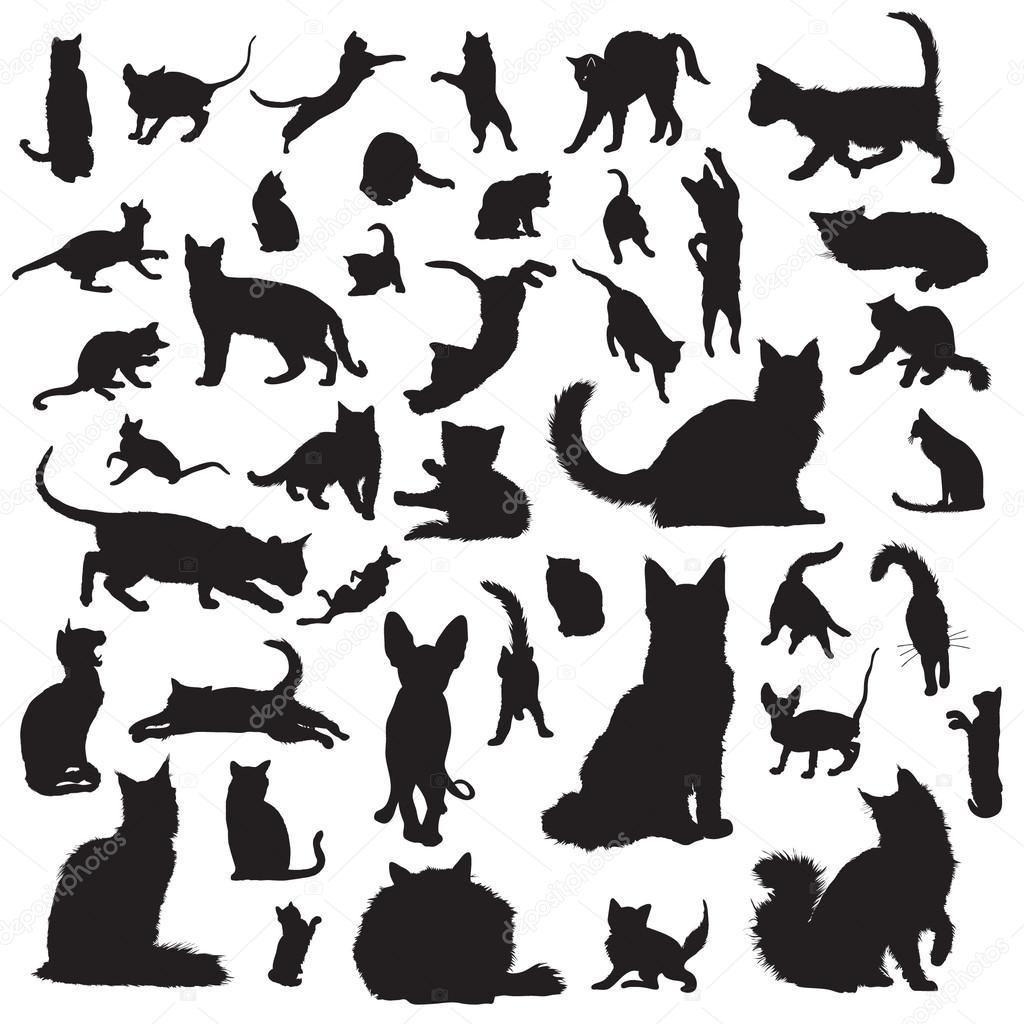 Cat silhouettes