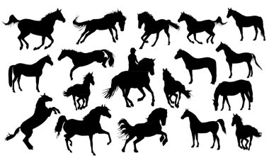 Set of vector horses silhouettes clipart