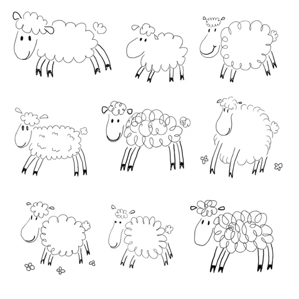 Sheep sketches — Stock Vector