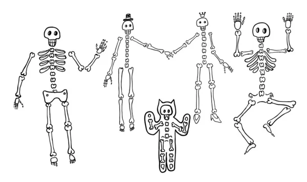 Skeletons — Stock Illustration Skeletons Stock Vector