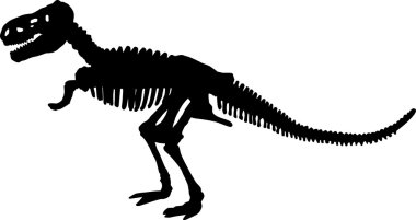 Download Dinosaur Skeleton Premium Vector Download For Commercial Use Format Eps Cdr Ai Svg Vector Illustration Graphic Art Design PSD Mockup Templates