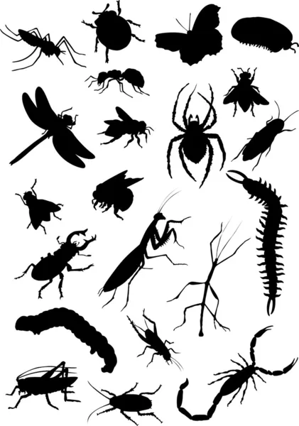 Conjunto de silhuetas de insetos — Vetor de Stock