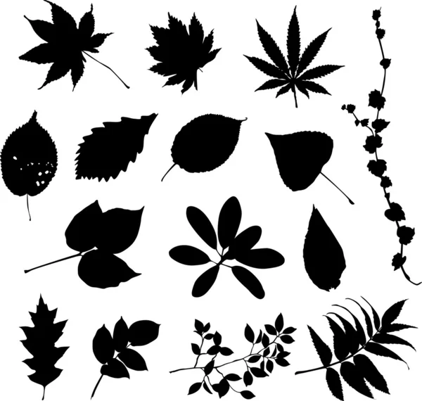 yaprakları silhouettes