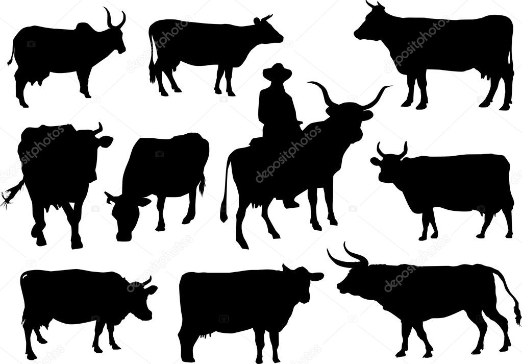 Bulls and cows silhouettes