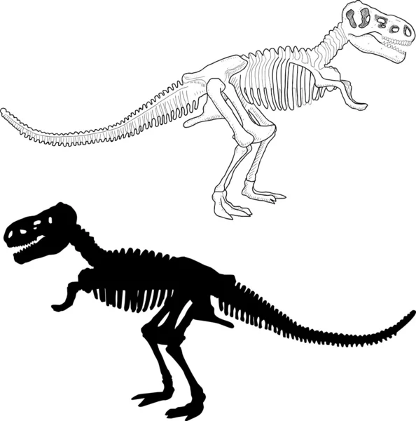 Dinosaurus skelet — Stockvector