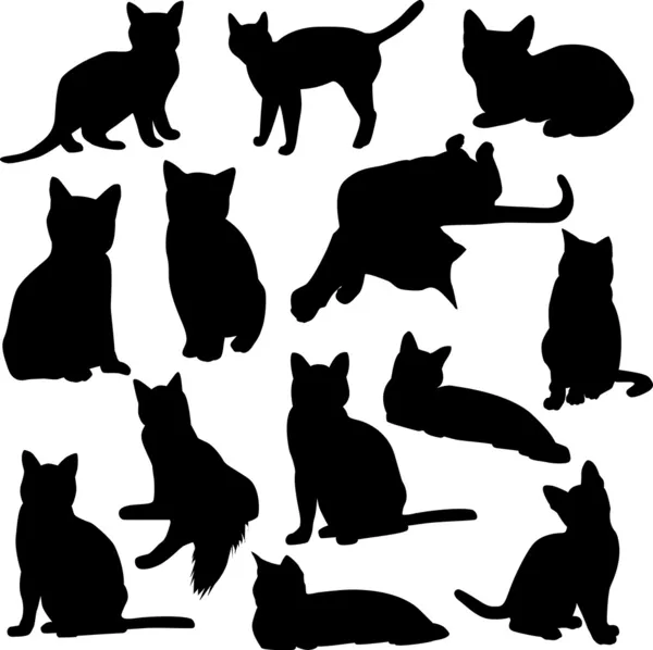 Cats silhouette — Stock Vector