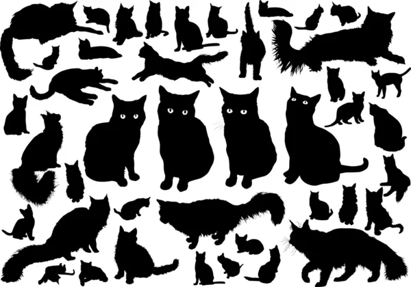 Silhouette dei gatti — Vettoriale Stock