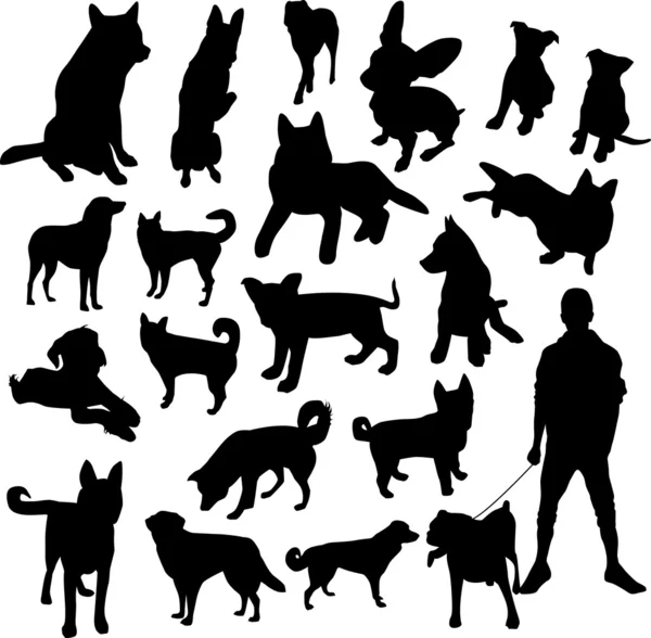 Silhouette de chat — Image vectorielle